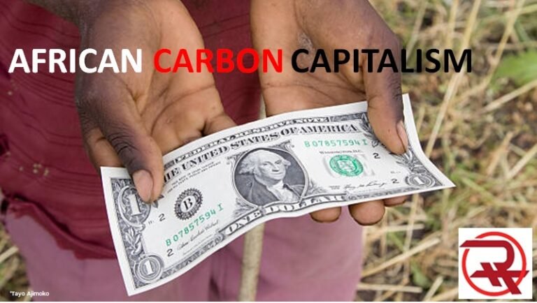 African Carbon Capitalism